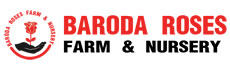 Baroda Roses Garden Care